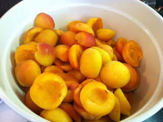 Canning Peaches and Apricots from Las Vegas