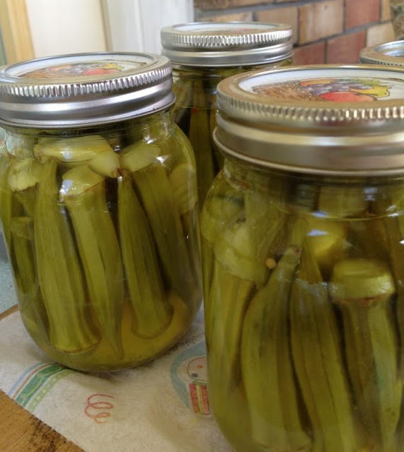 Canning pickled Okra… Ball Blue Book has it perfect!