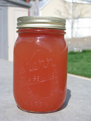 Rhubarb and Sunshine in a Juice Concentrate