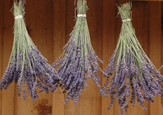 Edible Flowers – Garden Exchange – Lavender Jelly and Pansy Butter