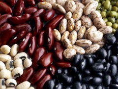 Beans – Pinto, Black, Kidney – How to Process and at what cost!