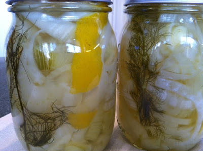 Canning Winter Veggies – 1st – Fennel with lemon peel