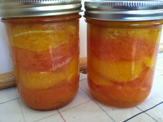 Grapefruit & Oranges – Something bright and Sunny!