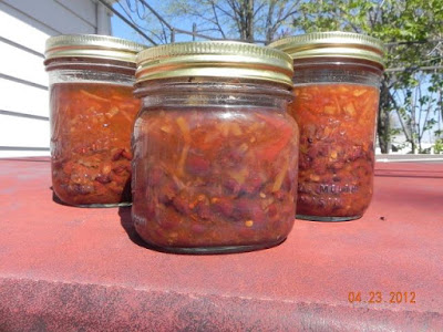 Dayna’s Canned Black Bean Salsa Soup