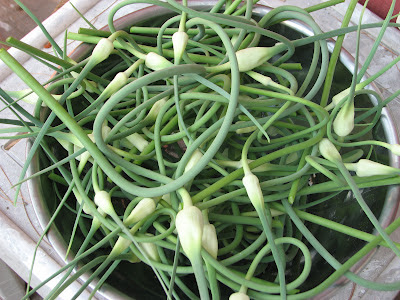 Meme Lou’s Pickled Garlic Scapes