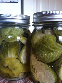 Pickling Vegetables – Carrots, Brussel Sprouts, and Asparagus