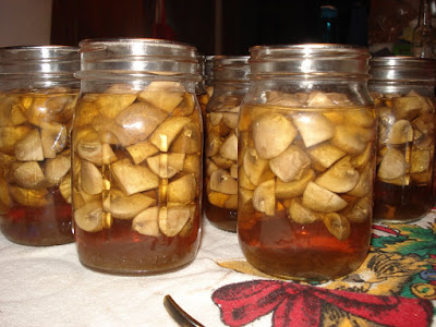 Canning Mushrooms – Part 1 of 2 : Pressure Canning