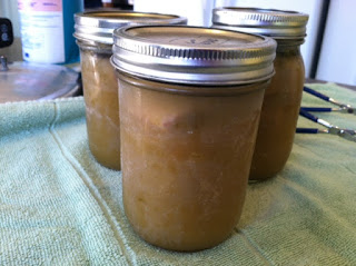 Canning Pork Chili Verde