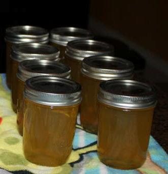 Better Homes & Gardens, Can It! – Lemon Honey Jelly