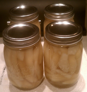 Renee’s Spiced Pears with Agave Syrup!
