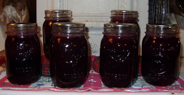 Laurie’s Blueberry Sauce