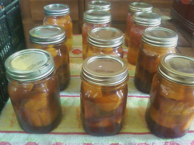 Pressure Canning Candied Yams