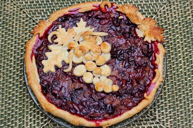 Concord Grape Pie Filling – It looks amazing!