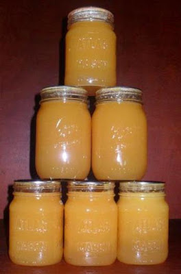 Mango Peach Lemonade Concentrate – Great Job Brandi