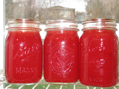 Strawberries and Summer – Strawberry Lemonade Concentrate