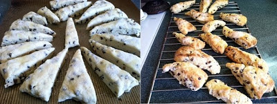 Chona’s Chocolate Chip Scones