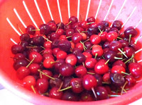 Canning Sour Cherries – Messy little buggers!