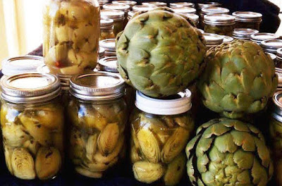 Canning Pickled Artichokes