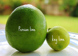 Blueberry Key Lime Jam – Not all limes are created equal!