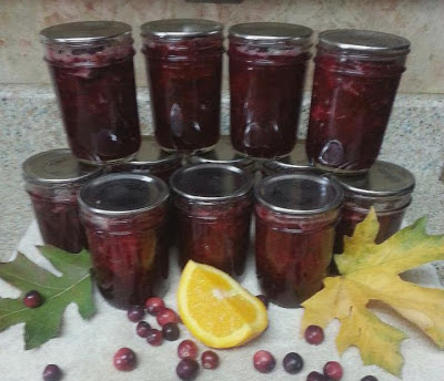 Leslie’s Cranberry Orange Sauce