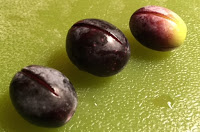 Curing Olives – Process 1 – Dry Curing Olives