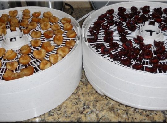 Dehydrating Recipes