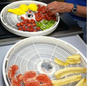 Top Tray: Mango, Strawberry & Kiwi Bottom Tray: Grapefruit and lengthwise Banana MFP Class - 12-14 hours (grapefruit) - 135 degrees