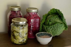 Erin’s Jars of Sauerkraut