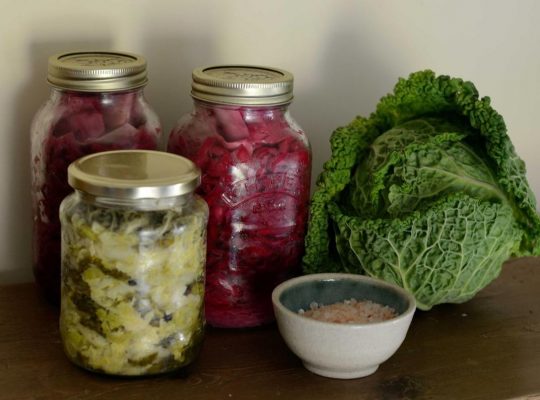 Making Sauerkraut in Half Gallon jars –