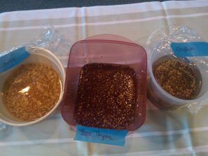 Sri Lankan, Beer Thyme, and English Mustard soaking mustard seeds