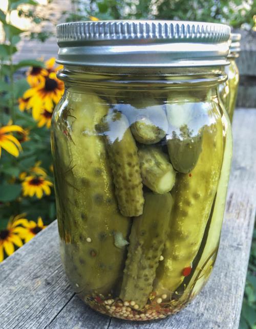 One lone jar of dill pickles!