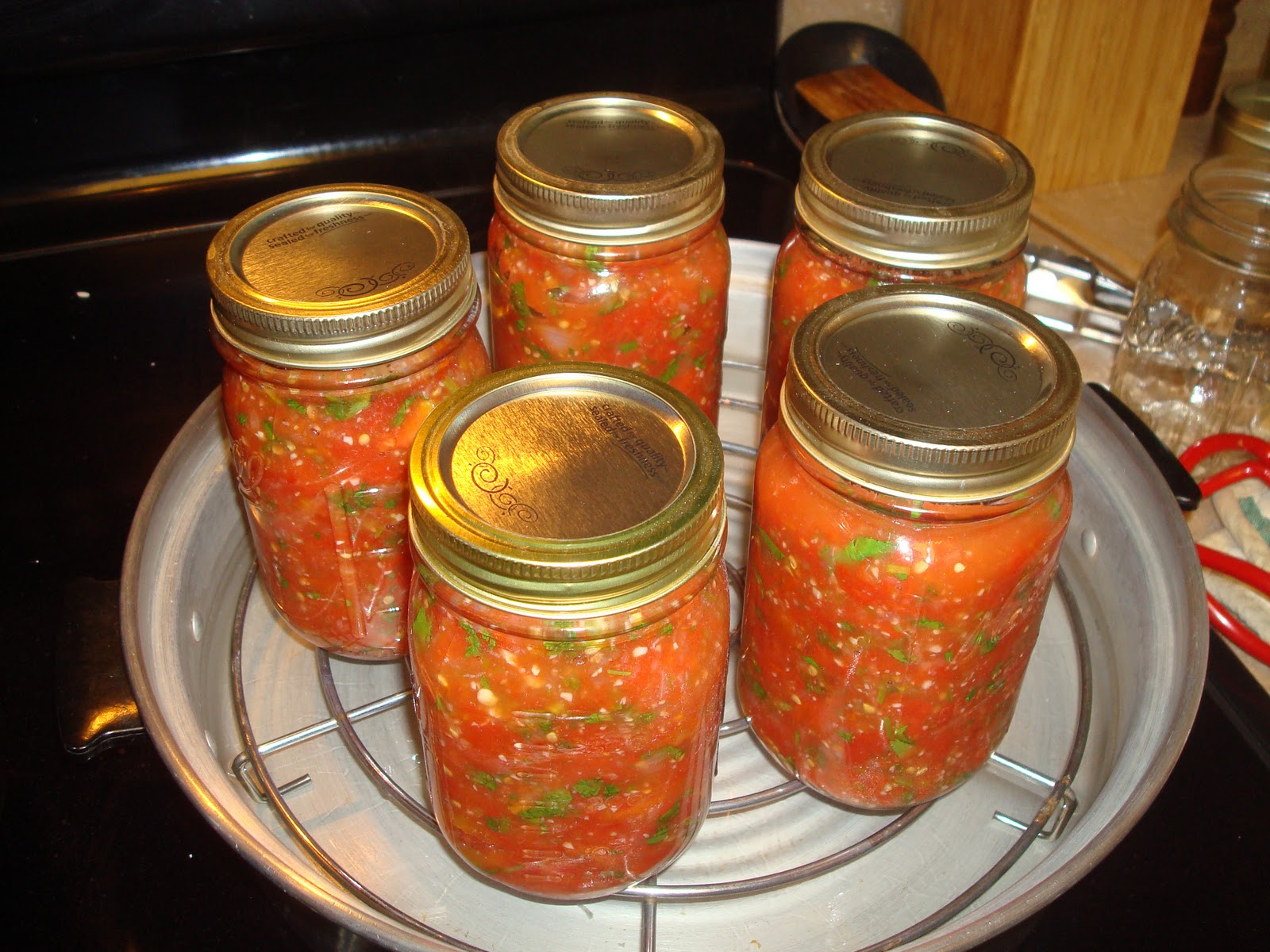 Canning 101: Should You Use a Steam Canner? – Food in Jars