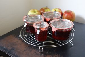 Jars cooling with tabs down and clamps still on.