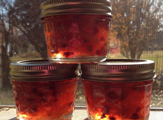 Canning Orange Pomegranate Marmalade