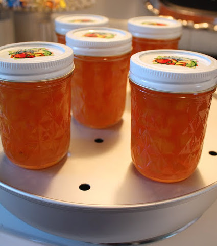 Peach Jelly Steam Canned!