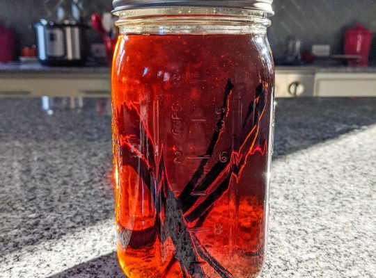 Canning for Gifts – Vanilla Extract