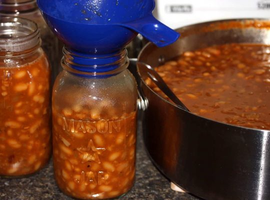 Renee’s BBQ Beans – Looking for a Bush’s Clone