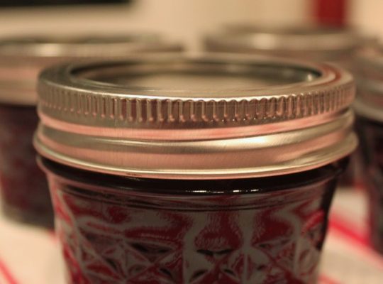 Canning Group – Figs, Pickles, and now Chocolate Raspberry Topping!