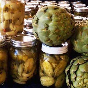 Large Artichokes