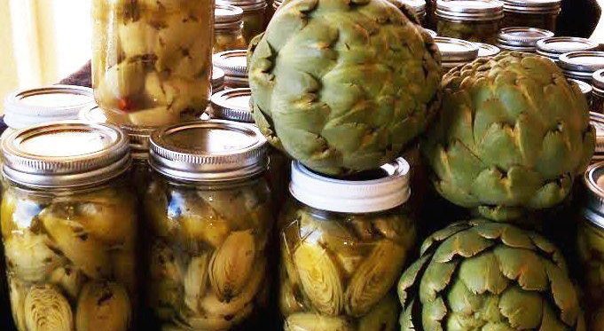 Large Artichokes