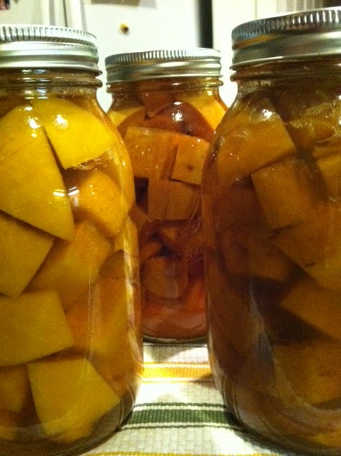 Pie Pumpkin (left) Combo (right)