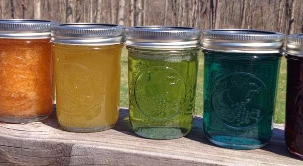 A rainbow of recipes for Jams and Jellies