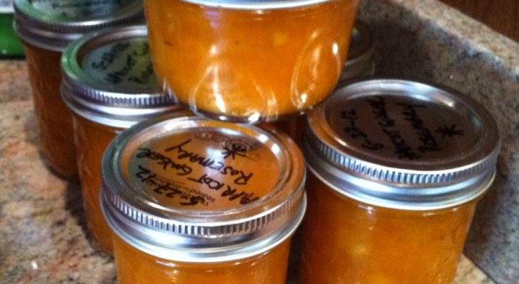 Apricot Ginger Rosemary Jam