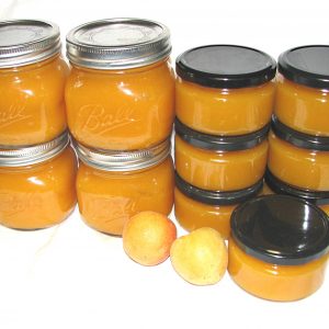 Apricot Mustard Sauce