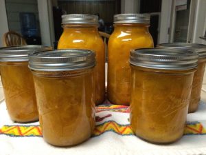 Apricot Pie Filling