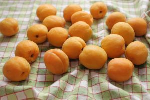 Apricot Pie Filling