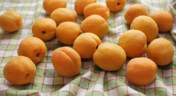 Apricot Pie Filling