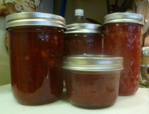 Basic Nectarine Preserve