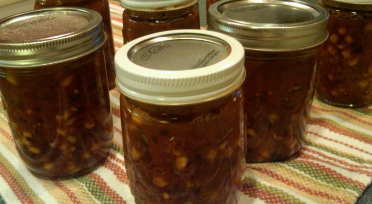 Black Bean Salsa Soup