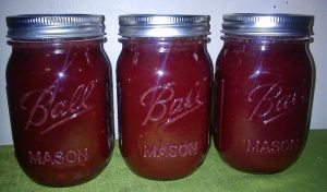 Blueberry Barbecue Sauce